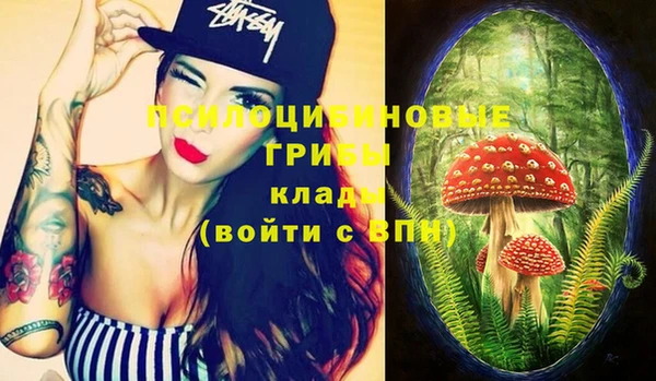 дживик Богородицк
