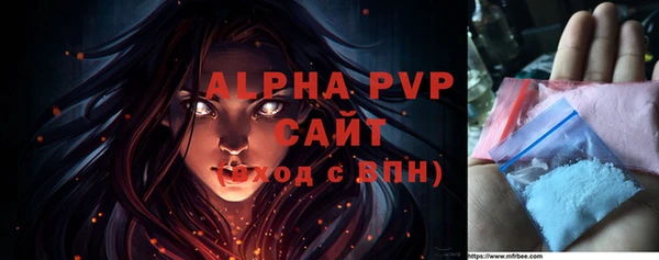 спиды Рославль