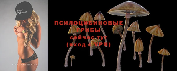 экстази Богданович