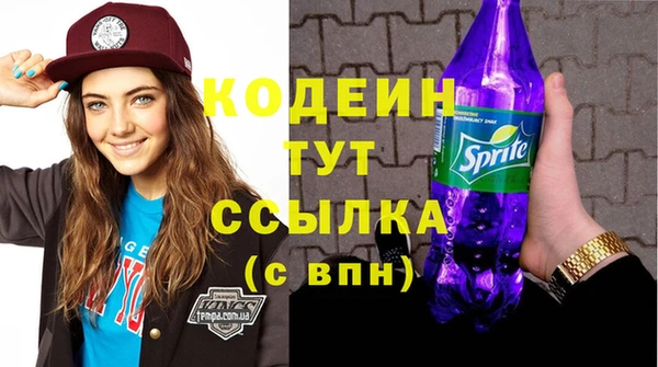 дживик Богородицк
