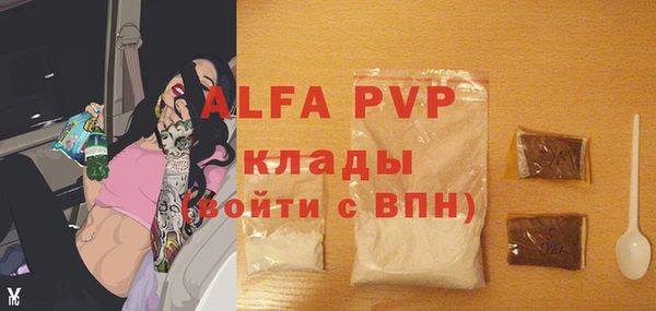 дживик Богородицк