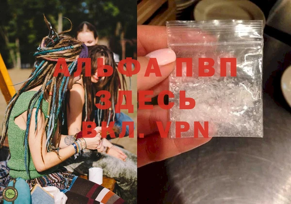 дживик Богородицк