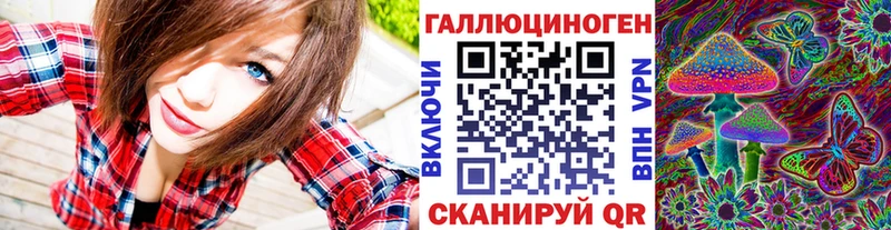 где найти наркотики  Медвежьегорск  Псилоцибиновые грибы мицелий 